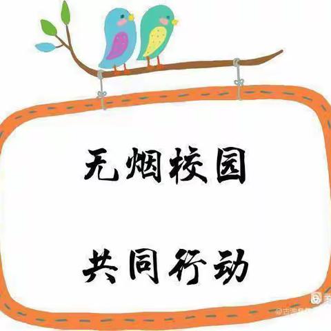 【大家·聚焦】创建无烟环境，构建和谐校园——启明小学控烟在行动