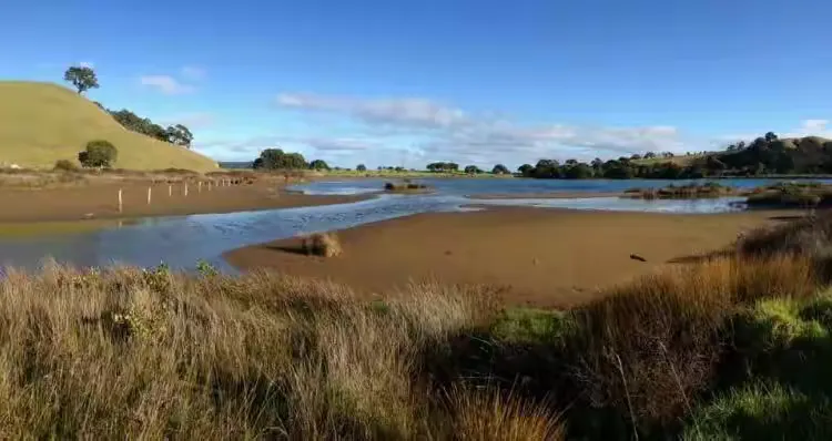 大摇大摆下一句(大摇大摆下一句是什么)