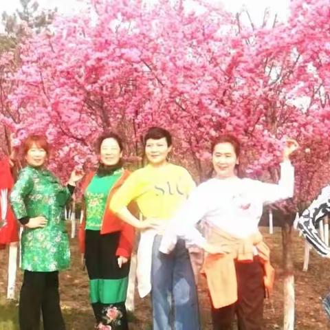 四月再见，五月你好！带上好心情，约上好姐妹，在春暖花开的时候，此时此刻，花开无限，呼吸着这免费的阳光和空气！