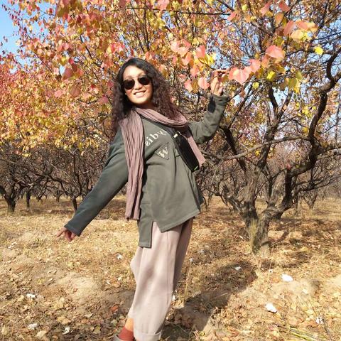 浑源吴城看杏叶🍁🍁🍂🍂🍃🍃🌾🌾