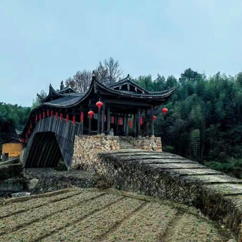 2023年元旦泰顺游Day1