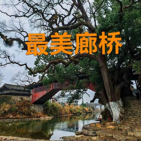 2023元旦泰顺自驾游Day2