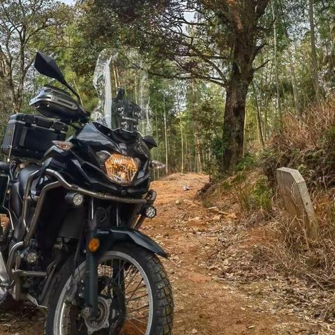 小跑记录（古田→桃溪→鱼山→路下→凤都→古田）