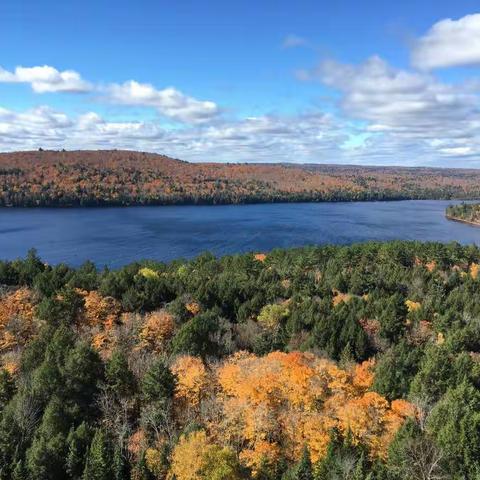 加东印象（下）