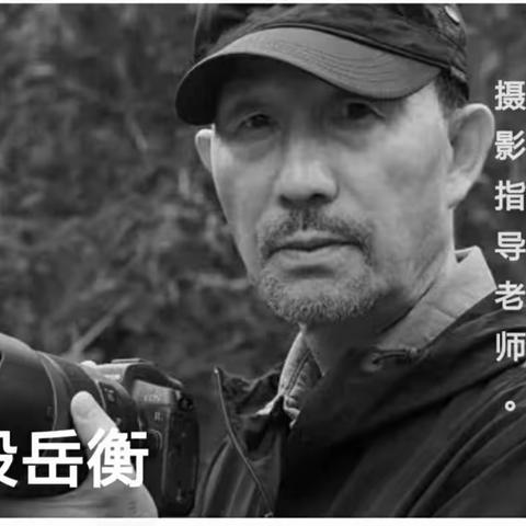 【行摄南极名家团——段岳衡大师】