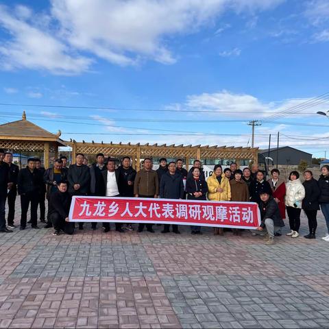 九龙乡人大“精、细、准”开展人居环境整治专题调研活动