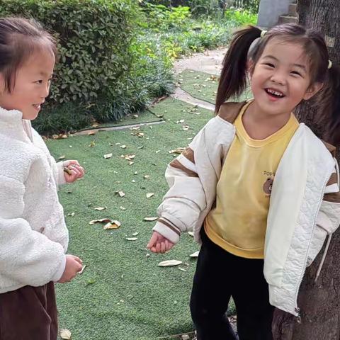 大一班的一周生活