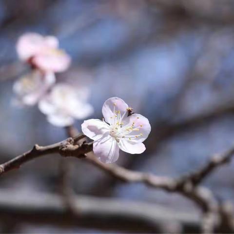 走进春天—游戏大会 北海幼儿园后海分部