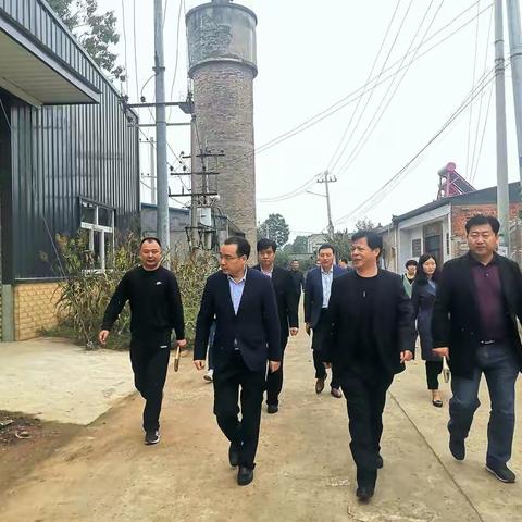 县委杨向喜书记调研我县村集体经济发展情况