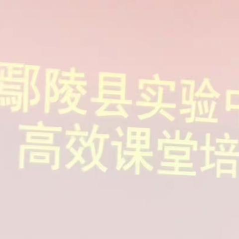 满园“春色”动秋风——鄢陵县实验中学高效课堂校本培训纪实