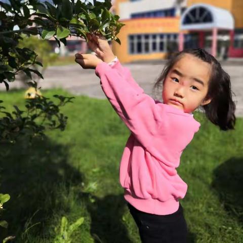 请到我的秋里来