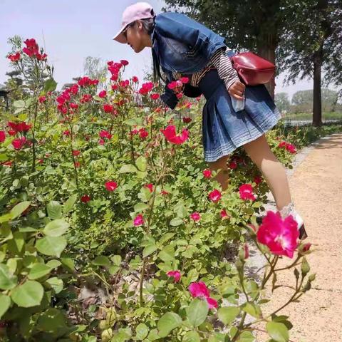 同昱小学的美篇