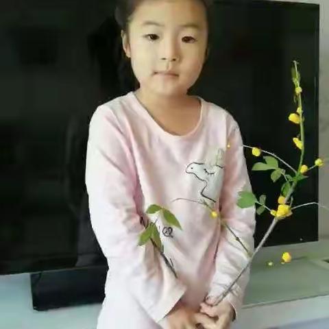 【停课不停学 宅家也欢乐】博兴一小校内幼儿园——中三班亲子陪伴活动推送《春天来了—植物发芽了》