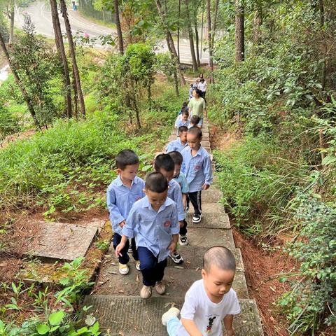 东风实验学校附属铁山坪幼儿园中班森林课程《寻找秋天》