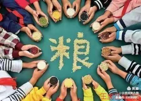 “爱惜粮食，从我做起”―― 旗直三幼大班组开学第一课“节约小公民”主题教育活动