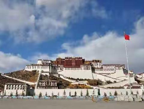 一个援藏病秧子的重生