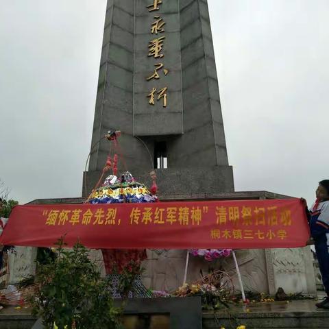 桐木镇三七小学清明祭扫活动