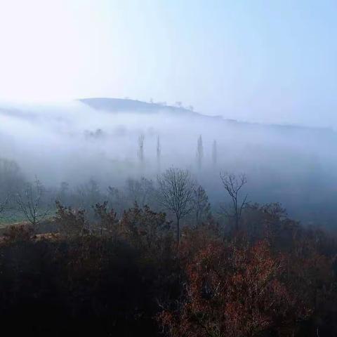 雨过天霁，云雾弥漫！这座千年古镇美得不像话！