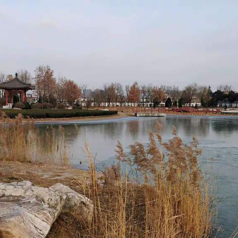 这里的冬天没有雪