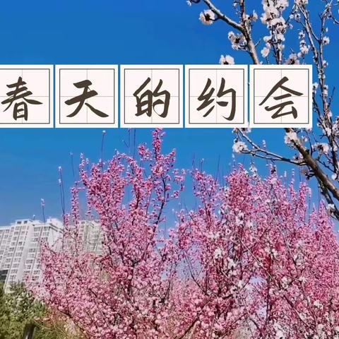 春天的约会