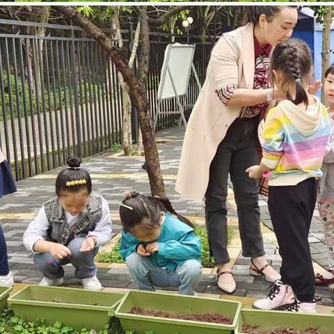 三月，春风十里，不如在幼儿园里♥宝之佳幼儿园的三月回忆录