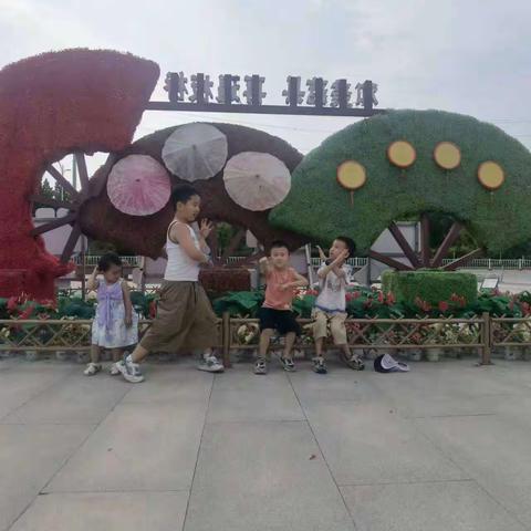 板桥古镇﹌万亩荷花乡﹌游乐园