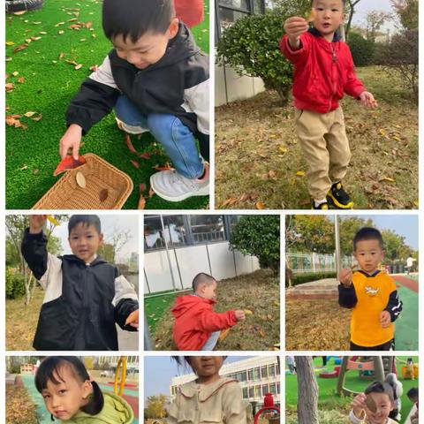 【一外附幼“活•宜课程”】你好，小树叶（小二班）