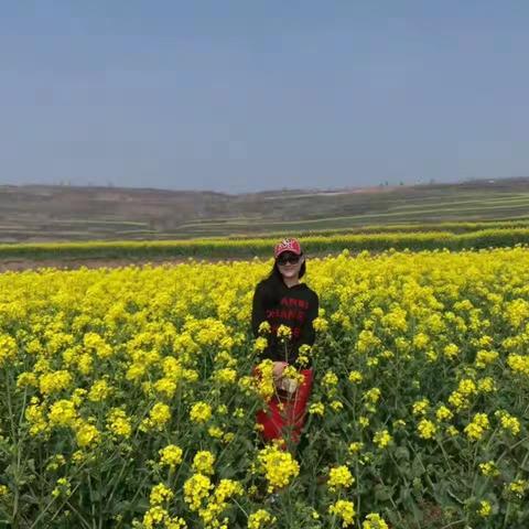 油菜花的爱在长安