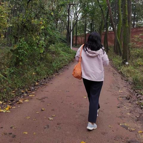 节日的寂静      2023.10.2，雨后的上王村