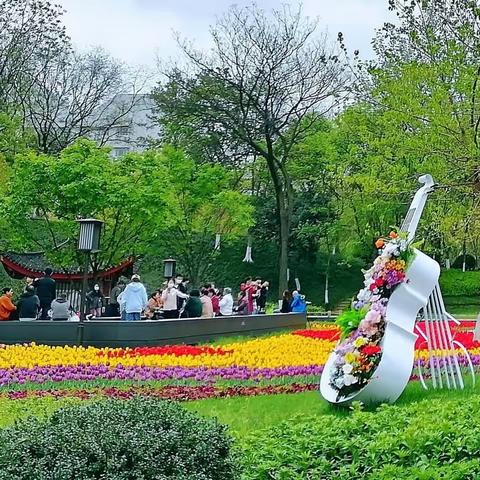 简谱的咏叹调     郁金香