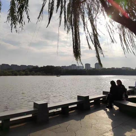 南湖，久违的优雅