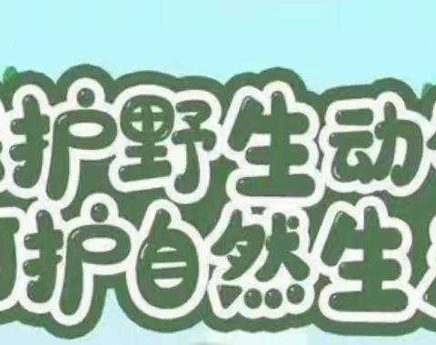 爱护野生动物 共建生态家园 —— 吉镇小学开展野生动物保护知识进校园