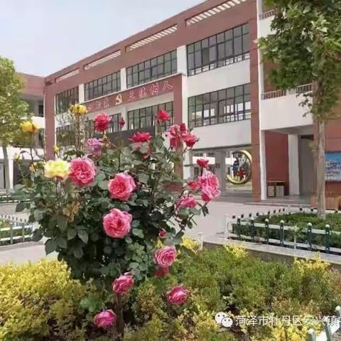 “新学期，新规划，新启航”——菏泽市牡丹区安兴镇中心小学“开学第一课”纪实