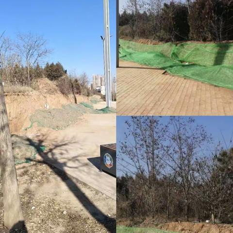 提高知晓率社区再行动