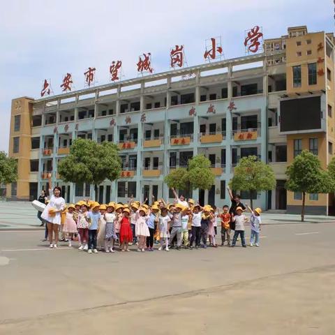 参观小学，感悟成长