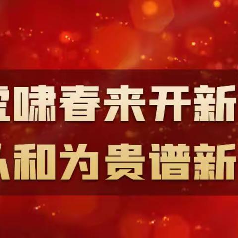 【贯彻落实党代会会议精神】和庄镇：学思践悟谋规划