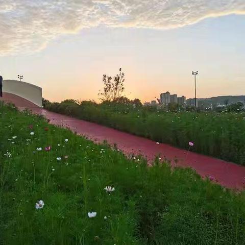 小说《意外之外】》（上）