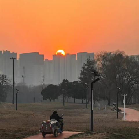小说《巷陌白领》【九】