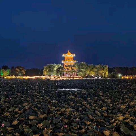 长篇小说《逐梦》节选之《情之所至》（上）
