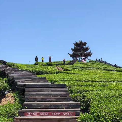 小说《巷陌白领》【八】