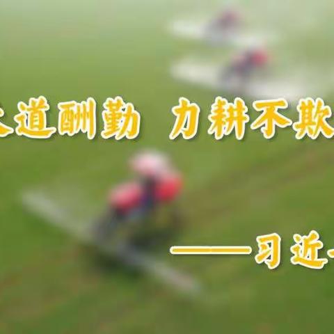 不惧春寒齐发力 花开兰园谱新曲---凭祥镇中心小学2021年春季学期第四周值周工作总结