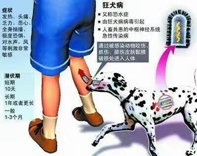 温馨提示—————远离狗，防犬病