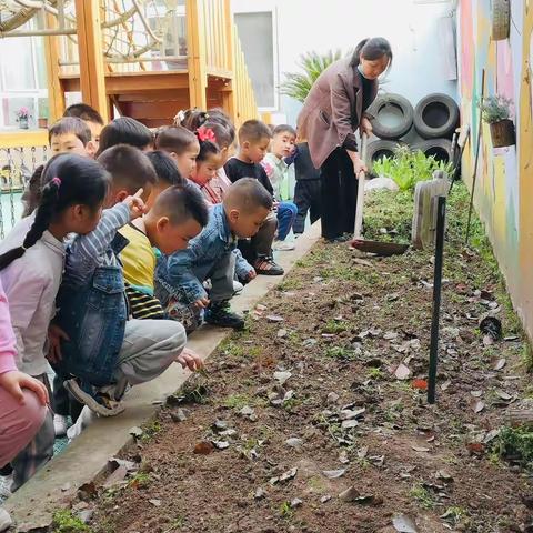 蒲吕街道中心幼儿园大一班———一周精彩回顾