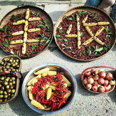 三农齐聚话丰收，农商助力促振兴——暨陈店乡第二届丰收节现场营销活动