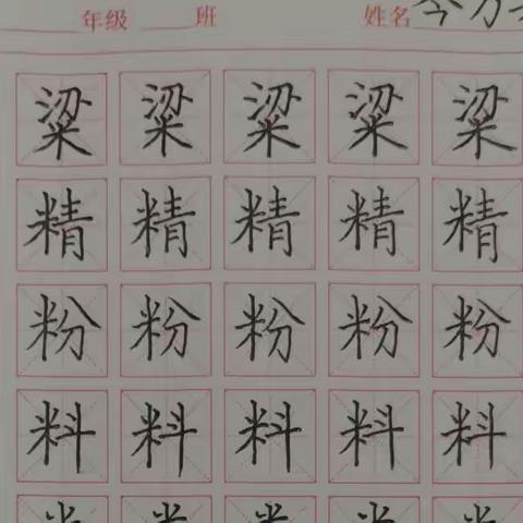 紫云县第一小学 五（4）班 第14周 汉字书写素养成长记录