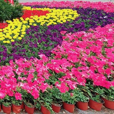 记录【五一】美好行程宁武县实验小学三年级三班侯世荣