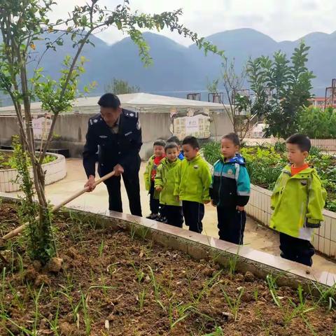 大风车幼儿园红果果二班第十一周精彩集锦