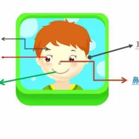 小天鹅幼儿园安全教育活动——异物不要入口鼻