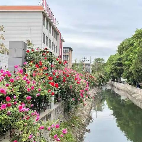 “疫”起云端，“语”见美好—安阳市东门小学语文线上教学纪实