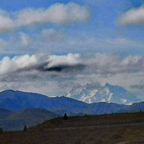 美加之旅——阿拉斯加(四)